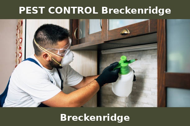 PEST CONTROL Breckenridge